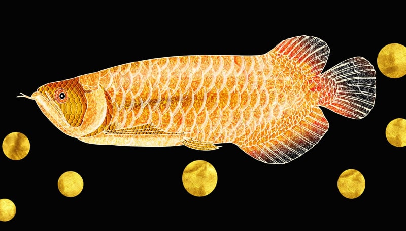 Arowana- najdroższa rybka akwariowa na świecie