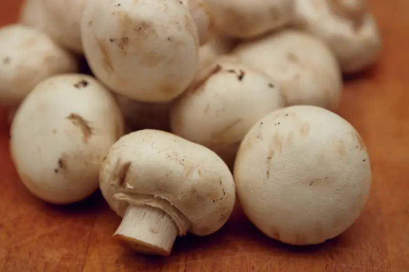 Mogelijke gezondheidsvoordelen van het eten van paddenstoelen
