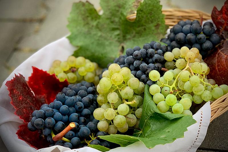Winogrona kcal - sprawdź kaloryczność winogron czerwonych, białych i zielonych
